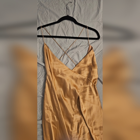 Michelle Mason 100% Silk Gown - Nude - Picture 3 of 5